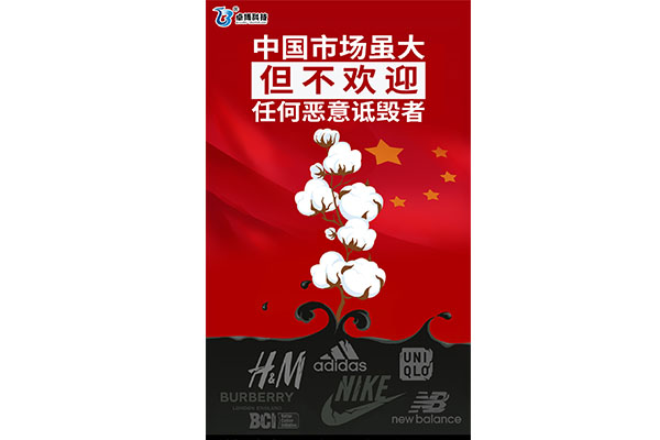 山东卓博科技